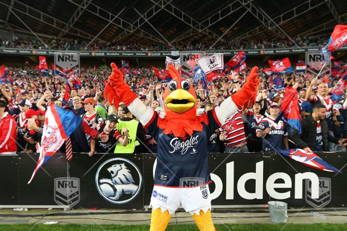 NRL 2019 GF Sydney Roosters v Canberra Raiders - ROOSTERS CELEBRATE