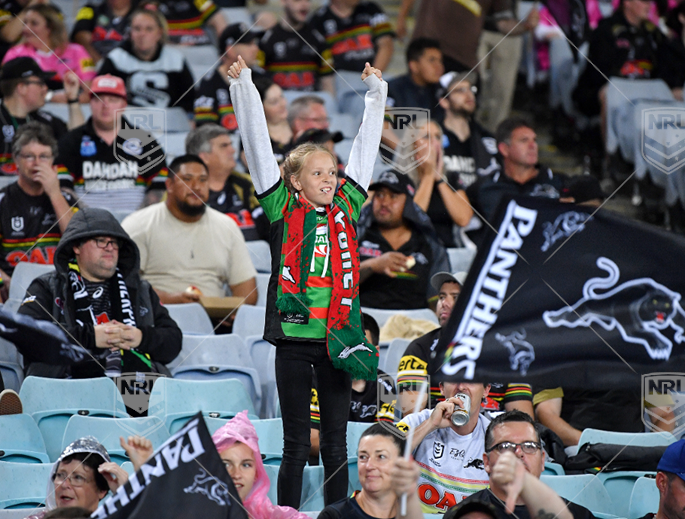 NRL 2020 PF Penrith Panthers v South Sydney Rabbitohs - Souths fans