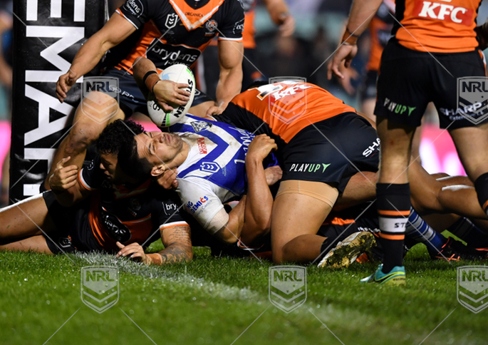 NRL 2022 RD11 Wests Tigers v Canterbury-Bankstown Bulldogs - Jeremy Marshall-King, try, celebration