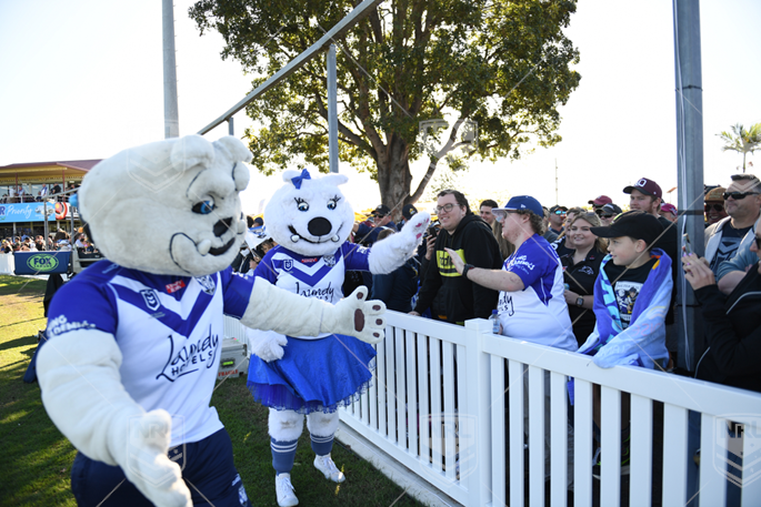 NRL 2022 RD21 Canterbury-Bankstown Bulldogs v North Queensland Cowboys - Bulldogs Fans