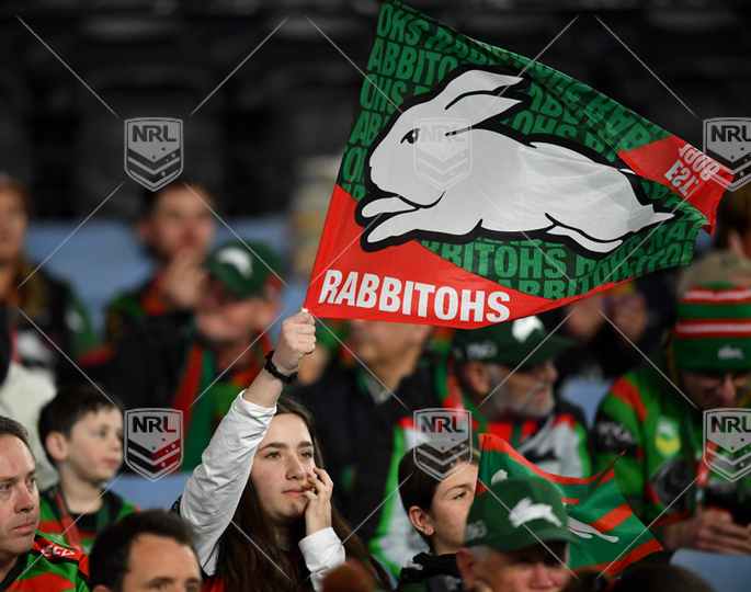 NRL 2022 RD23 South Sydney Rabbitohs v Penrith Panthers - Souths fan