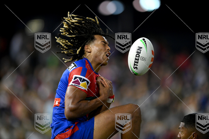 NRL 2023 RD03 Newcastle Knights v Dolphins - Dominic Young, Best Of