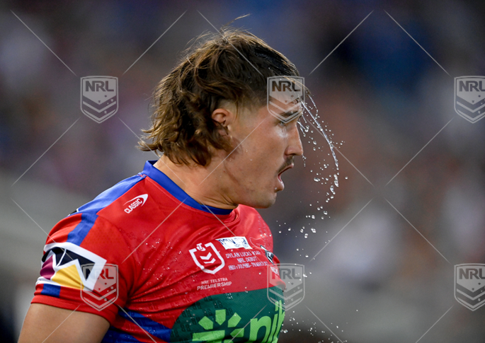 NRL 2023 RD03 Newcastle Knights v Dolphins - Dylan Lucas, Best Of