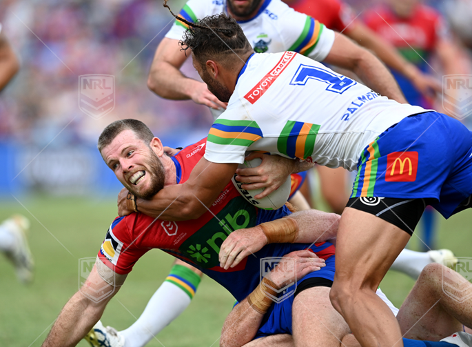 NRL 2023 RD04 Newcastle Knights v Canberra Raiders - Lachlan Fitzgibbon, Best of