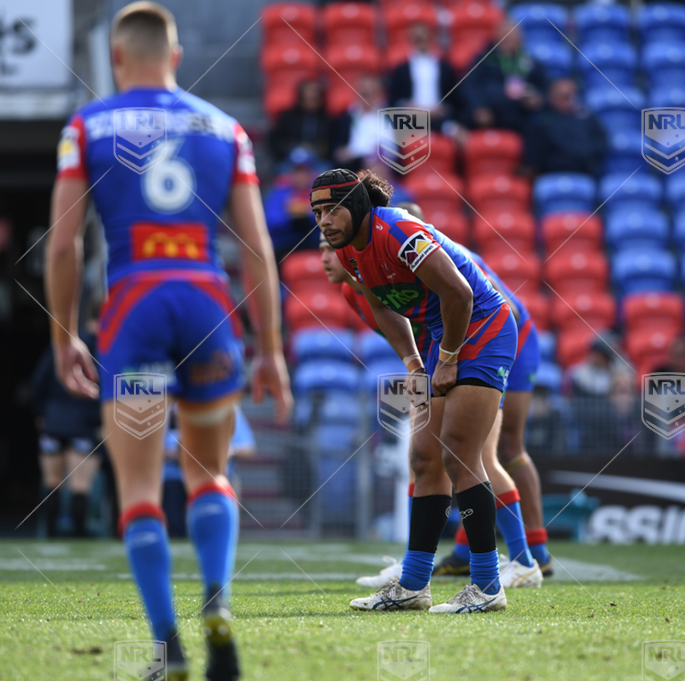 NSWC 2023 RD13 Newcastle Knights NSW Cup v Blacktown Workers Sea Eagles - Dane Aukafolau