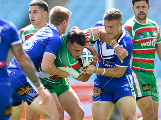 NSWC 2024 RD04 South Sydney Rabbitohs NSW Cup v Canterbury-Bankstown Bulldogs NSW Cup - Chase Chapman