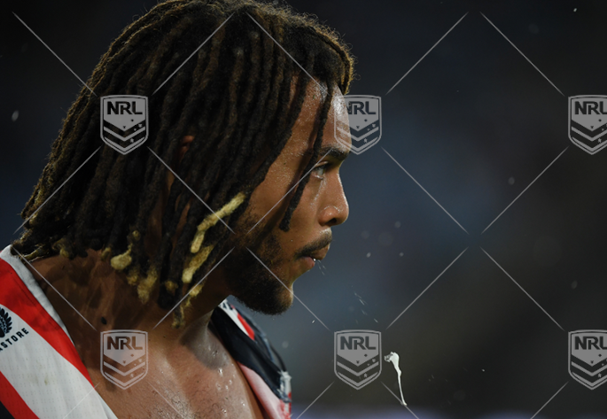 NRL 2024 RD05 Canterbury-Bankstown Bulldogs v Sydney Roosters - Dominic Young, SENT OFF
