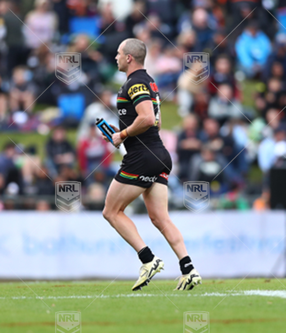 NRL 2024 RD07 Penrith Panthers v Wests Tigers - Dylan Edwards, injury