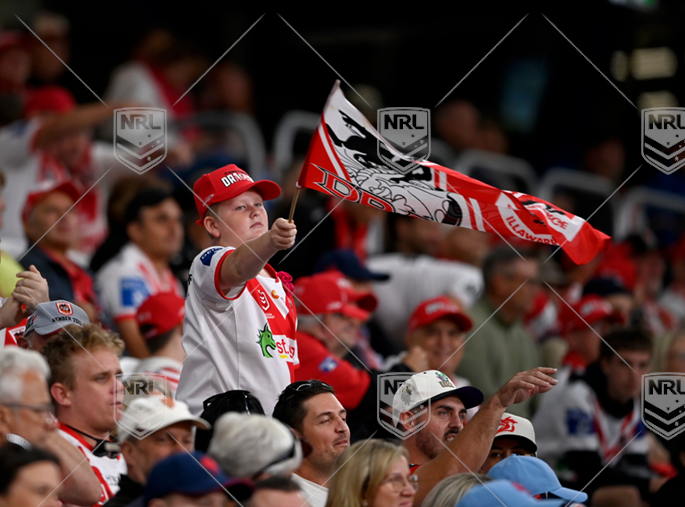 NRL 2024 RD08 St. George Illawarra Dragons v Sydney Roosters - Dragons fans